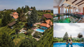 Hotels in Gornji Kneginec